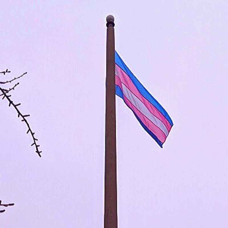 Brantford Transgender Flag Raising